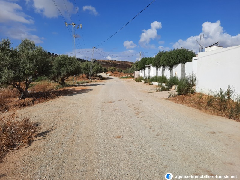 images_immo/tunis_immobilier2109146 (13).jpg